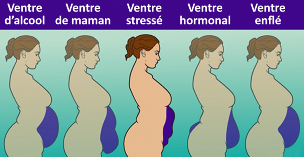 les types de ventre , et comment trouve une ventre plat 