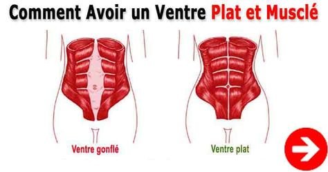 comment avoir un ventre plat et musclé 